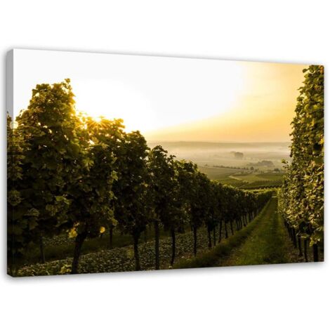 Tableau déco Raisins dans vignoble 90x60 (1/5)