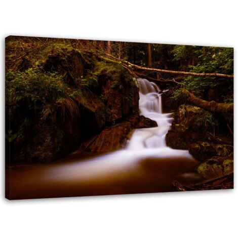 Tableau décoratif ruisseau de montagne forêt 60x40 (1/5)