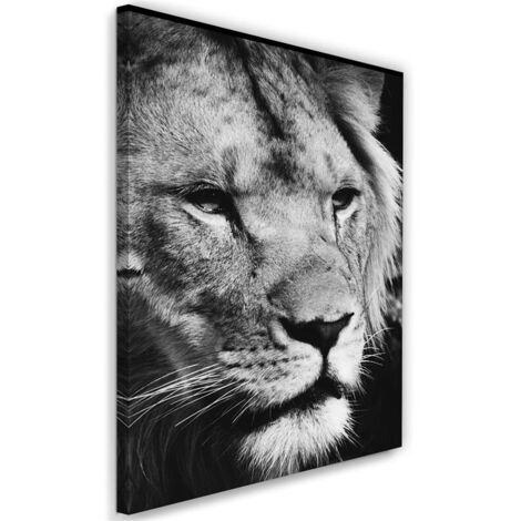 Cadre déco Lion d'Afrique Noir et Blanc 40x60 (1/5)