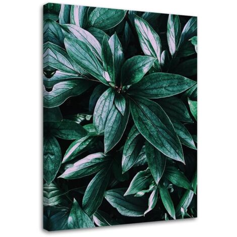 Tableau décoratif Jungle Plantes Nature 40x60 (1/5)