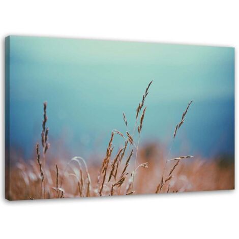 Tableau décoratif Herbe Nature PlantesTurquoise 60x40 (1/5)