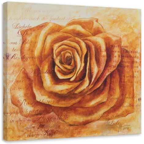Tableau sur toile Pétales de rose Orange 40x40 (1/5)