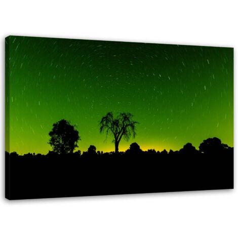 Tableau sur toile Aurora Borealis Forêt verte 60x40 (1/5)