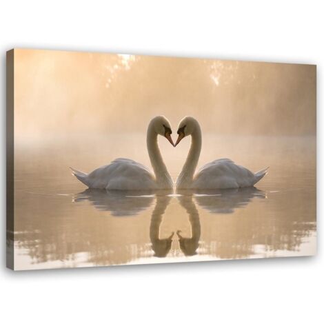 Tableau déco Cygnes amoureux en mer 60x40 (1/5)