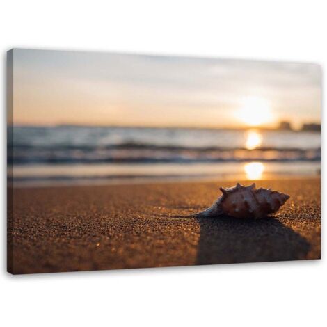 Tableau sur toile Coquillage Plage Mer Sable 60x40 (1/5)