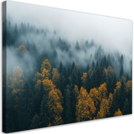 Tableau déco Forêt dans un paysage de brouillard 60x40 (1/5)