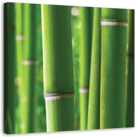 Tableau sur toile Bamboo Zen Spa Nature 50x50 (1/5)