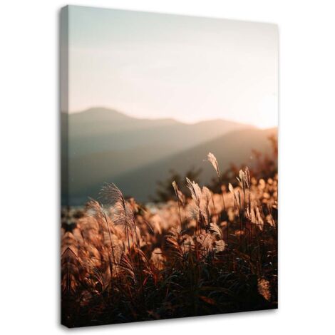 Tableau sur toile Prairie Montagne Nature 40x60 (1/5)