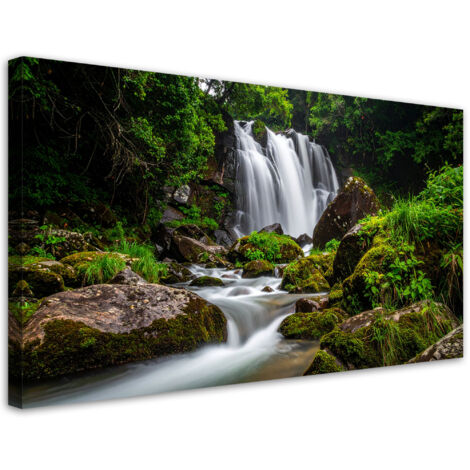Tableau déco Paysage cascade montagnes nature 100x50 (1/4)