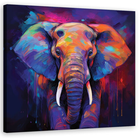 Tableau déco Eléphant Animaux Couleur 30x30 (1/5)