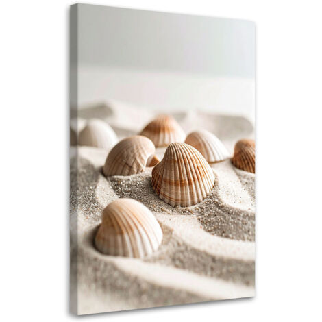 Tableau déco Coquillages plage nature bohème 70x100 (1/4)