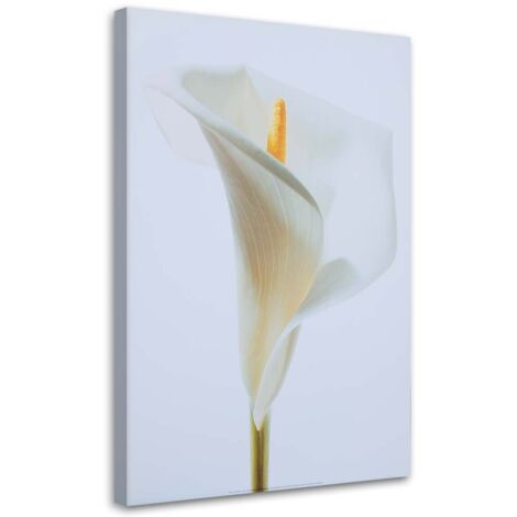 Tableau décoratif Fleurs de calla nature 70x100 (1/5)