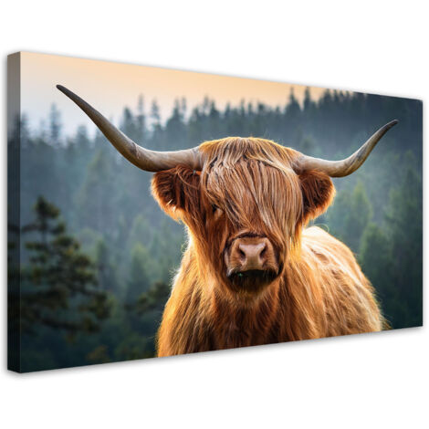 Tableau déco Vaches écossaises 100x50 (1/5)