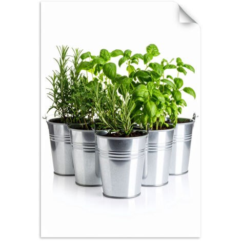 Autocollant Film Herbes épices plantes 40x60 (1/3)