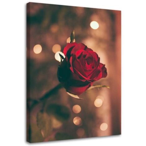 Tableau décoratif Rose rouge Fleur Nature 70x100 (1/5)