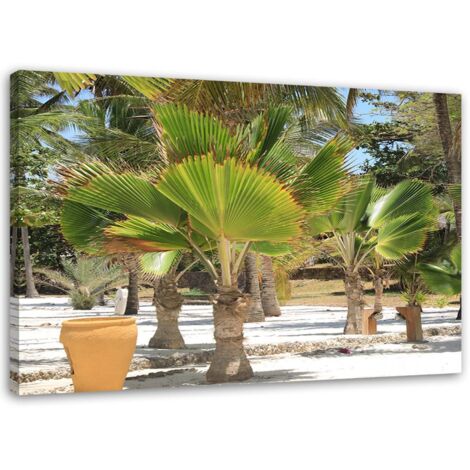 Tableau sur toile Paysage tropical Nature 100x70 (1/5)
