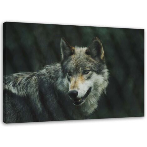 Cadre déco Loup Nature Animaux 60x40 (1/5)