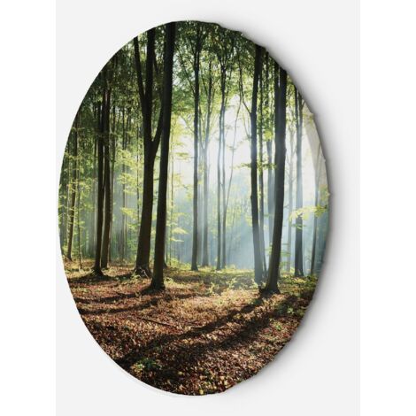 Tableau sur toile Image circulaire Forêt au lever du soleil 60x60 (1/5)