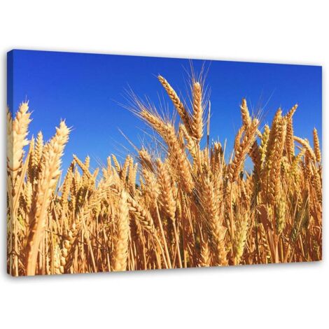 Tableau sur toile Epi Récolte Nature Or 60x40 (1/5)