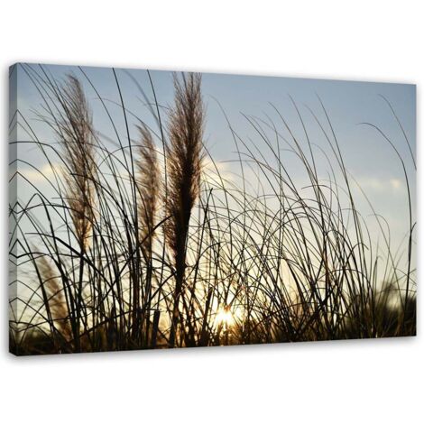 Tableau sur toile Roseaux Nature Lac 60x40 (1/5)