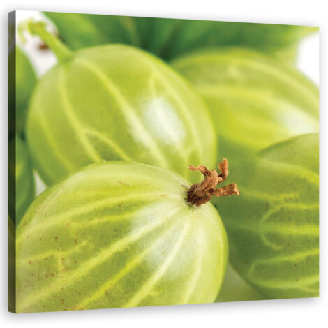 Tableau sur toile Macro de groseille 60x60 (1/5)