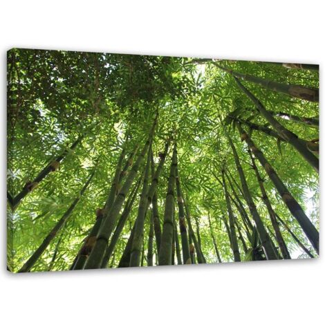 Cadre déco Bambou Forêt Nature 60x40 (1/5)