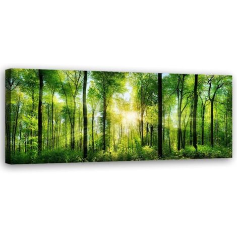 Image sur toile, Rayons de soleil dans la forêt verte - 90x30 (1/5)