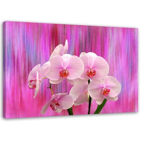 Cadre déco Orchidée Rose Nature Plantes 60x40 (1/5)