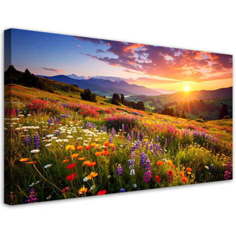 Tableau déco Prairie avec fleurs des champs paysage de montagne 80x40 (1/4)