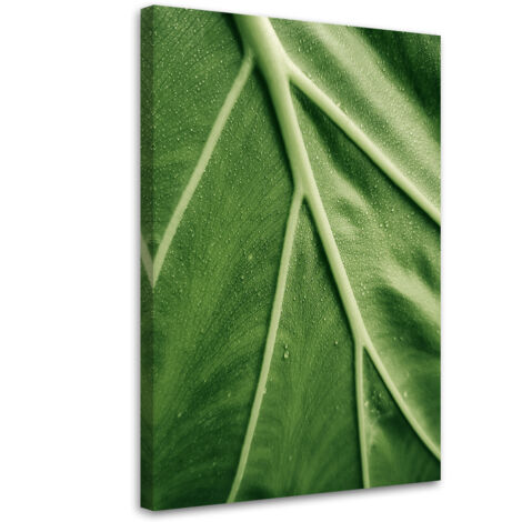 Tableau sur toile Gouttes de rosée sur la feuille en macro 70x100 (1/5)