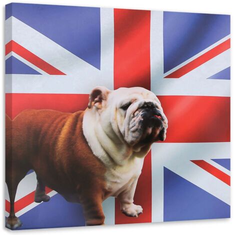Tableau sur toile Bouledogue Chien Drapeau anglais 60x60 (1/5)