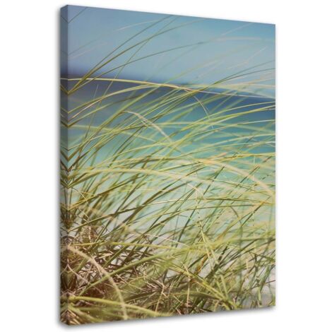 Tableau sur toile Plage Herbes Dunes Sable 70x100 (1/5)