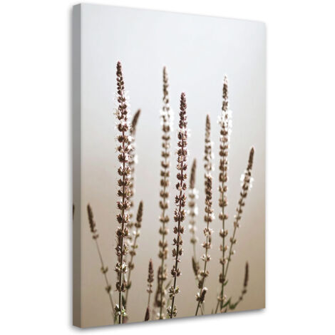 Tableau déco Plantes séchées nature beige 40x60 (1/4)