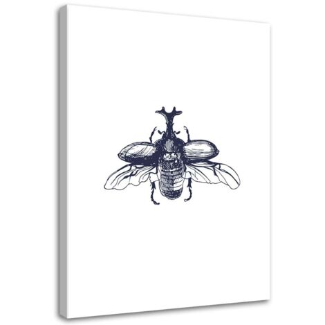 Tableau déco Scarabée Insecte Naturel Noir et Blanc 60x90 (1/5)