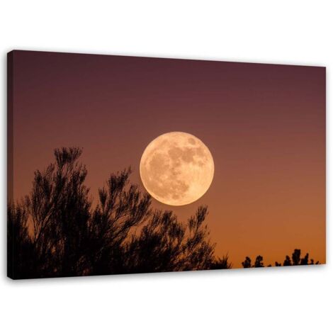 Tableau sur toile Lune derrière l'arbre 60x40 (1/5)