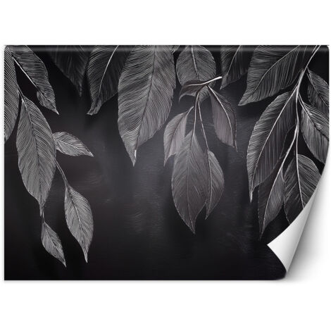 Papier peint Minimalisme Feuilles Plantes Noir & Blanc 400x280 (1/5)