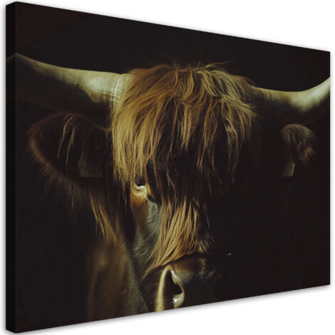 Tableau déco Portrait de vache écossaise en sépia 60x40 (1/5)