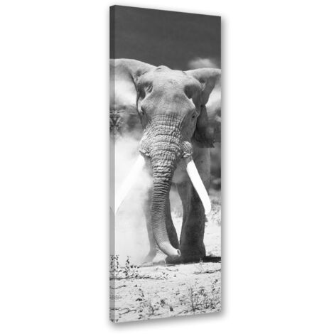 Tableau sur toile Éléphant d'Afrique noir et blanc 30x90 (1/5)