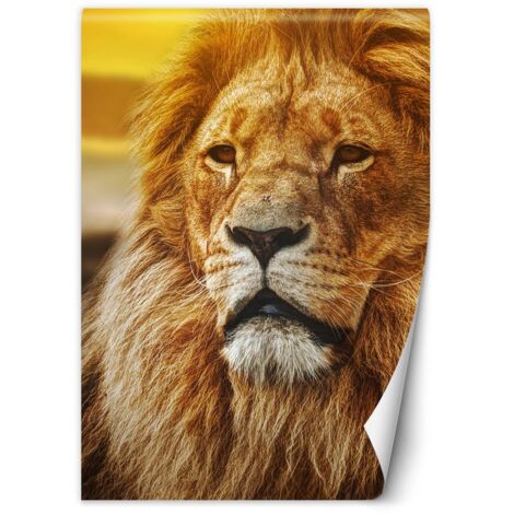 Papier peint Roi des lions 150x210 (1/5)