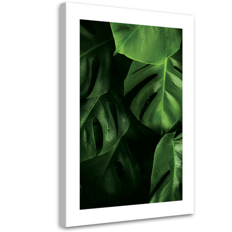 Tableau sur toile Gouttes de rosée sur les feuilles de Monstera 60x90 (1/5)