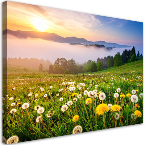 Tableau déco Prairie pissenlits paysage de montagne 60x40 (1/4)