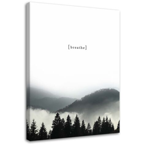 Cadre déco Forêt dans le brouillard Noir Blanc 60x90 (1/5)