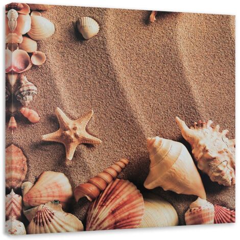 Tableau sur toile Coquillages Plage Mer Lac 60x60 (1/5)