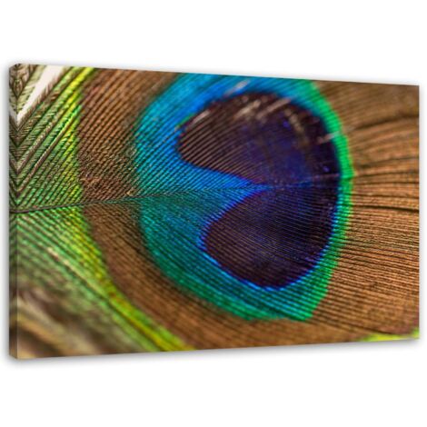 Tableau sur toile paon oiseau plume 90x60 (1/5)