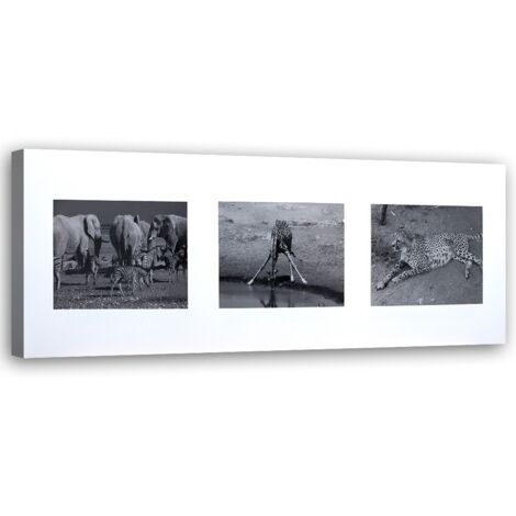 Tableau sur toile Afrique Animaux Noir Blanc 90x30 (1/5)