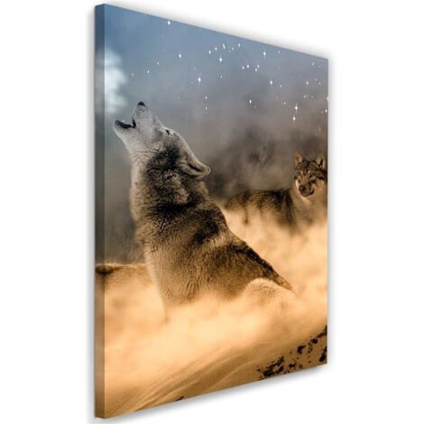 Tableau sur toile Loup Brouillard Animal Nature 40x60 (1/5)