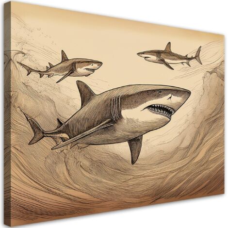 Tableau déco Requins animaux vintage 60x40 (1/5)