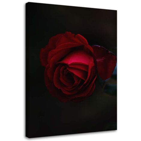 Tableau déco Rose rouge fleur nature 60x90 (1/5)