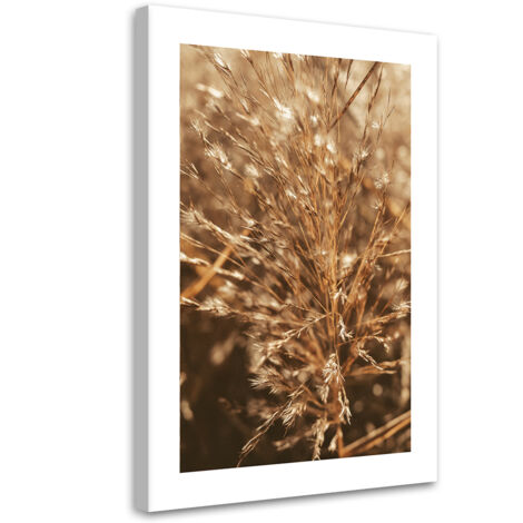 Tableau sur toile Herbe beige 40x60 (1/5)