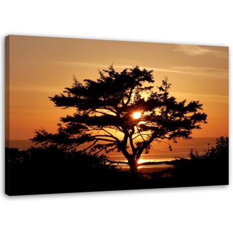 Tableau sur toile Arbre mer coucher de soleil 90x60 (1/5)